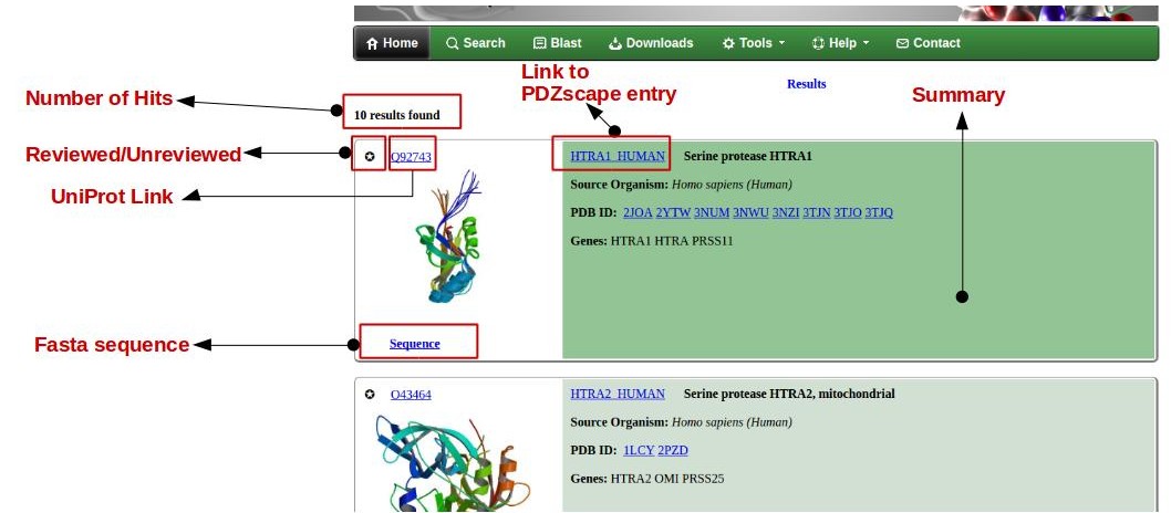 PDZ Search